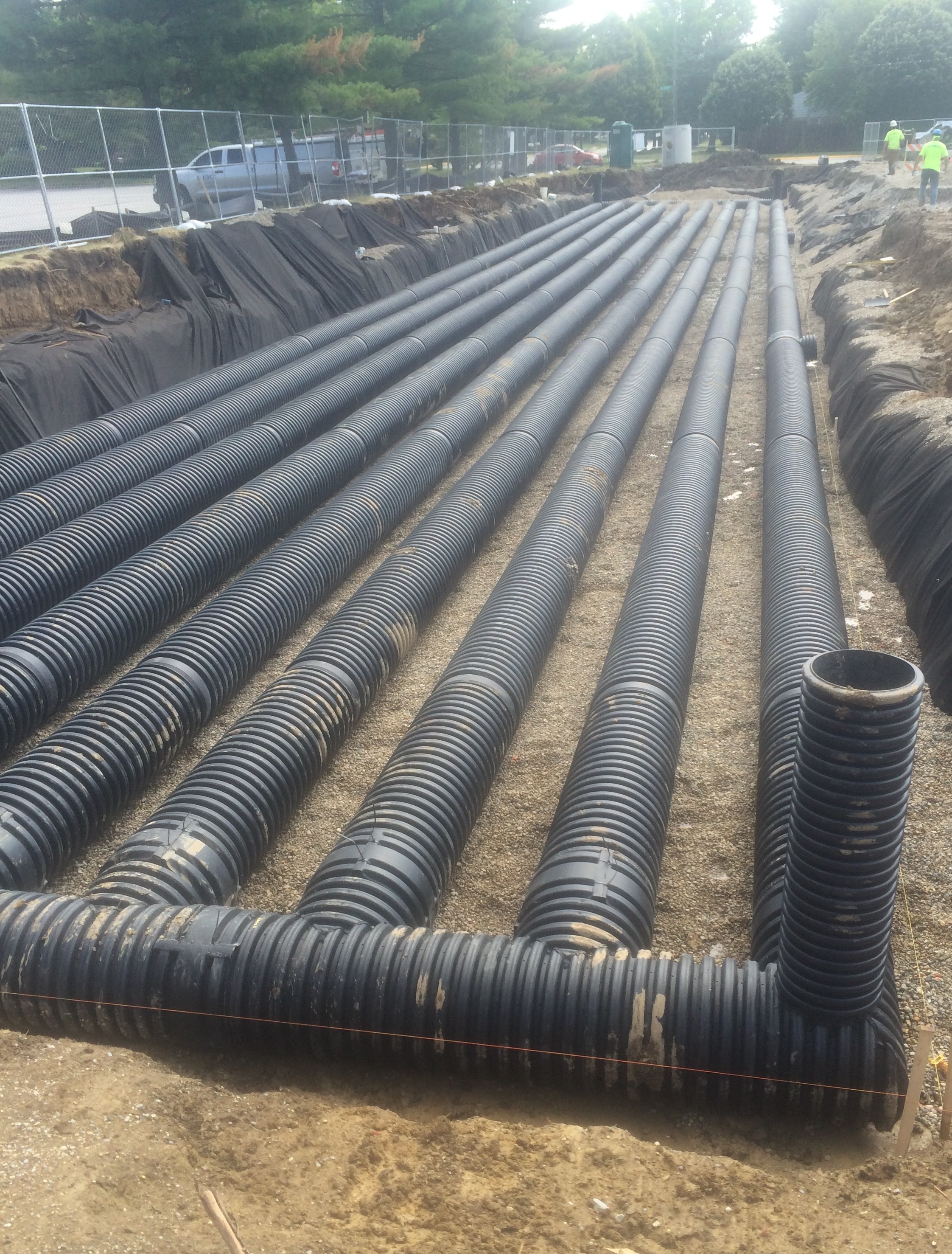 IMG2160.jpg?Revision=Xg6&Timestamp=DkMgC8